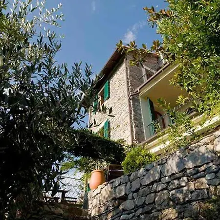Lovely In Liguria * Velva