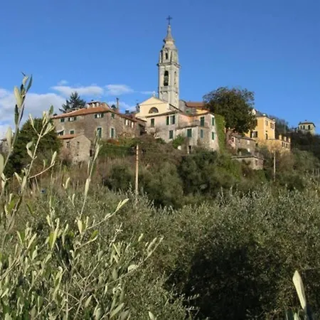 Lovely In Liguria Velva